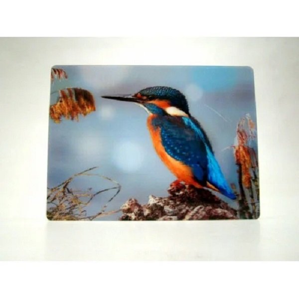 IJsvogel 3D ansichtkaart