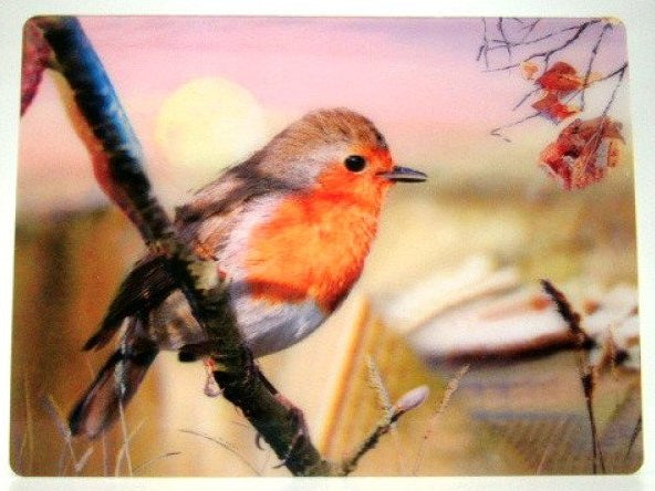 Roodborst 3D ansichtkaart