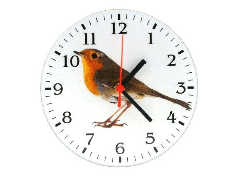 Roodborst klok, 16 cm