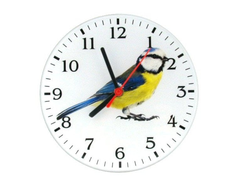 Pimpelmees wandklok, 17 cm