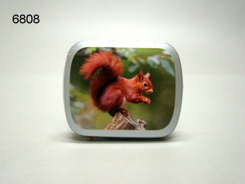 Eekhoorn, blikje met pepermunt