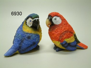 Papegaai, 12 cm