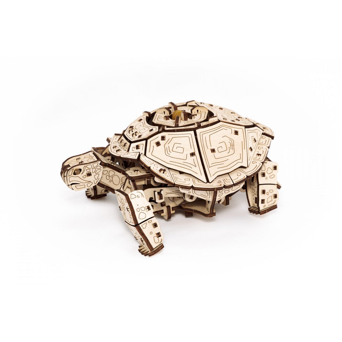 3D mechanische houten puzzel schildpad 22,3 × 16,5 × 11,6 cm