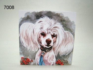 Chinese naakthond, wenskaart, 16 x 16 cm