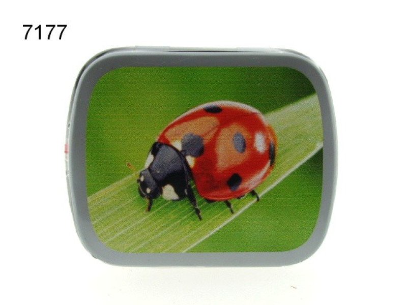 Lieveheersbeestje, blikje met pepermunt
