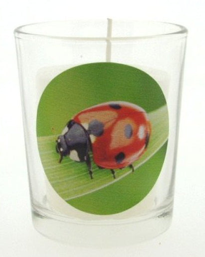 Lieveheersbeestje sfeerlichtje met kaars, 6 cm