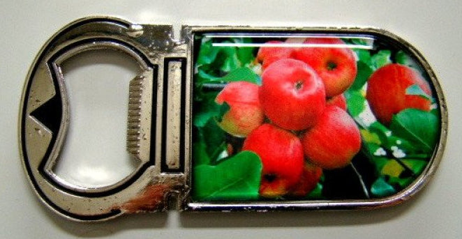 Appel flesopener met magneet