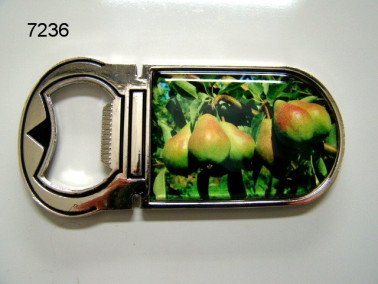 Peer flesopener met magneet