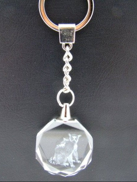 Ringstaartmaki sleutelhanger, glas