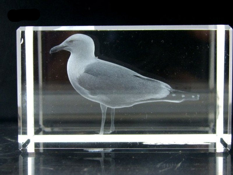 Meeuw glasblokje, 3D lasergravure, 5 x 8,5 cm