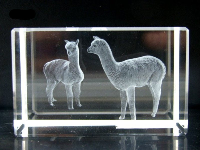 Alpaca glasblokje, 3D lasergravure, 8 x 5 cm