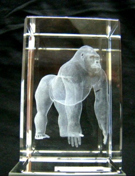 Gorilla glasgravure 3D, 8 x 5 cm