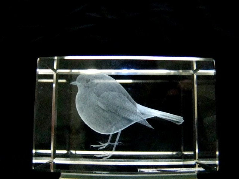 Roodborstje glasgravure 3D, 8 x 5 cm