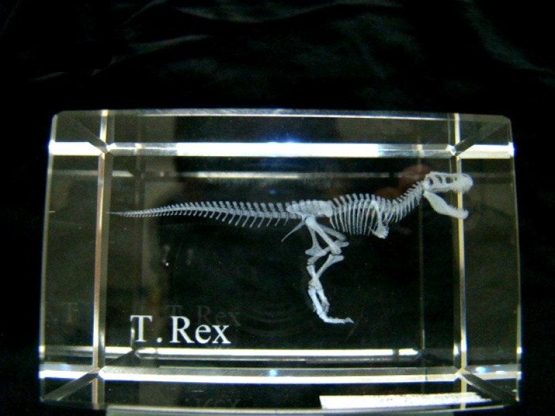 T-rex skelet glasblokje, 3D laser gravure 8 x 5 cm