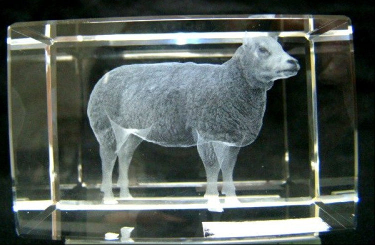 Schaap glasgravure 3D, 8 x 5 cm