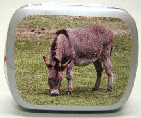 Ezel, blikje met pepermunt, 14 gram