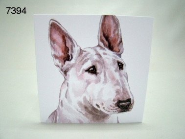 Bull terrier wit, wenskaart, 16 x 16 cm
