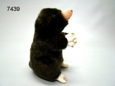 Mol pluche, 22 cm