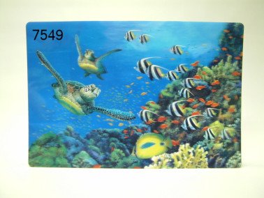 Zeedieren placemat