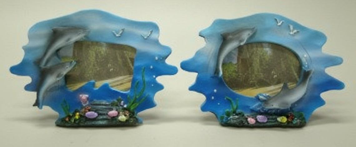 Dolfijn fotolijstje met zee en meeuwen, maritiem design, assorti