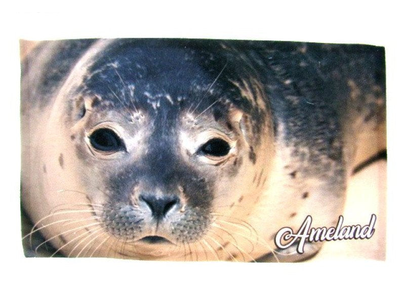 Ameland gastendoek met zeehond, 50 x 30 cm