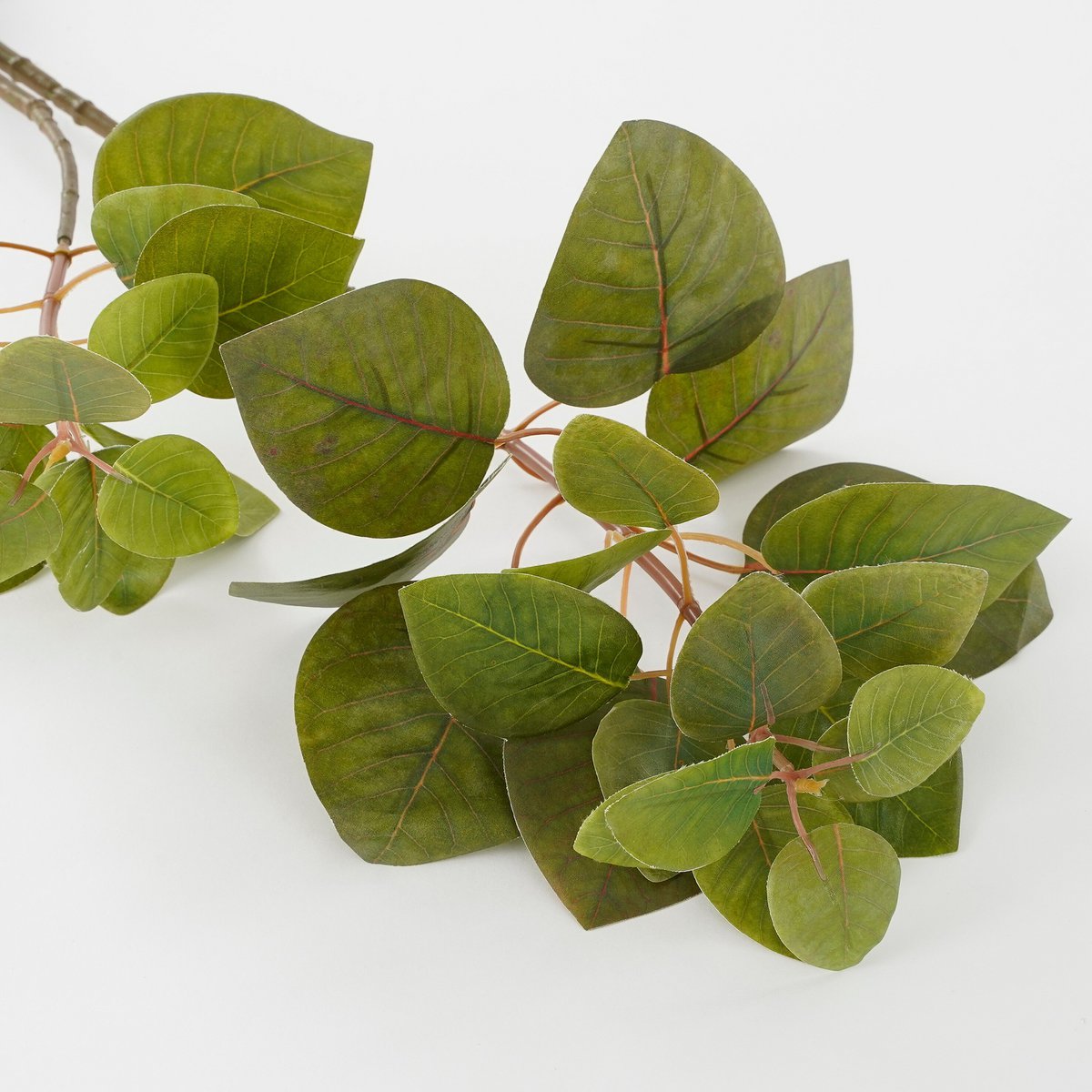 Eucalyptus kunstplant met wortels, 64 cm