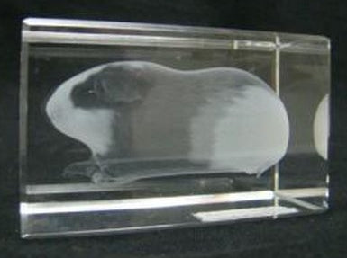 Cavia glasgravure 3D, 8 x 5 cm