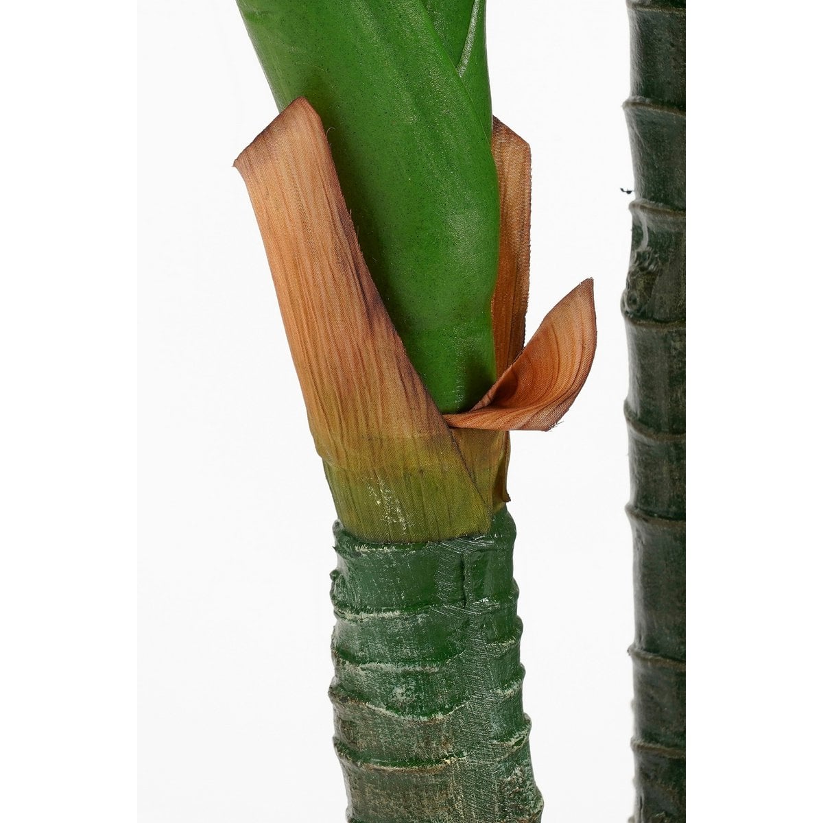 Dieffenbachia kunstplant, 150 cm