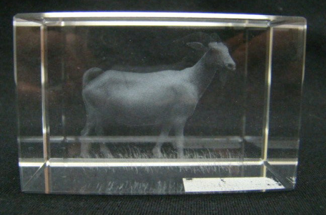 Geit glasgravure 3D, 8 x 5 cm