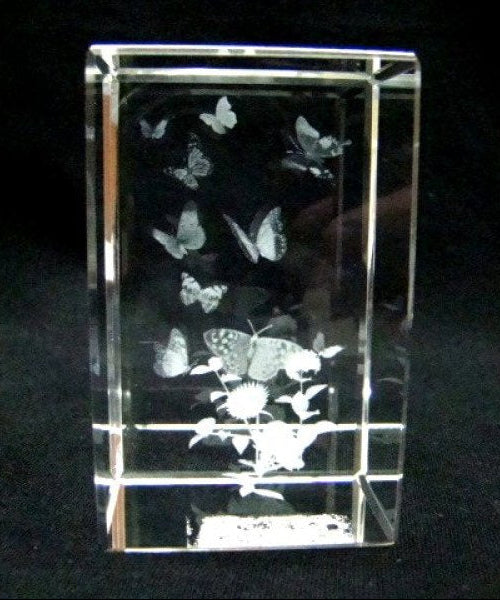 Vlinders glasgravure 3D, 8 x 5 cm