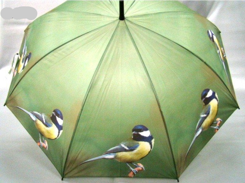 Koolmees paraplu, 84 cm