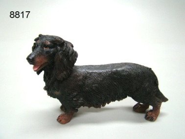 Teckel langhaar, 14 cm