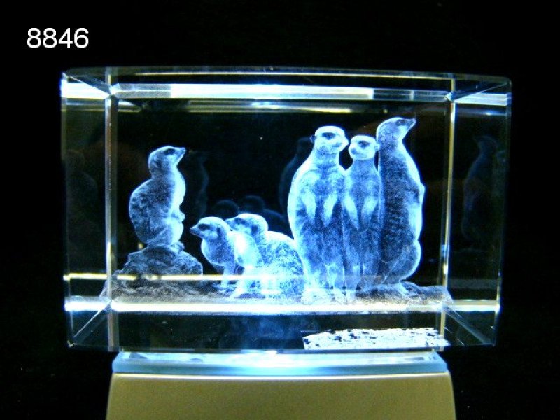 Stokstaartje glasblokje