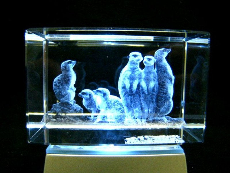 Stokstaartjes familie glasgravure 3D, 8 x 5 cm