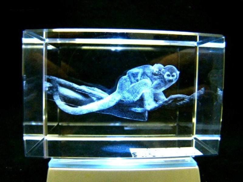 Doodshoofdaapjes glasgravure 3D, 8 x 5 cm