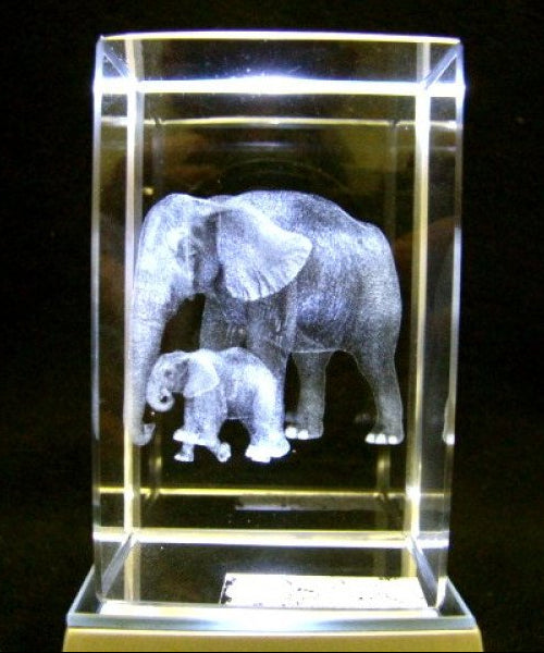 Indische olifant met jong glasgravure 3D, 8 x 5 cm