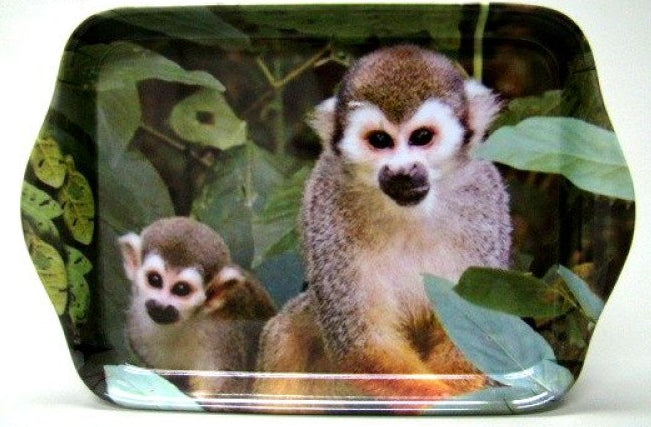 Doodshoofdaapje dienblad, 21 x 15 cm