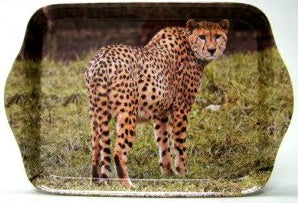 Cheetah dienblad, 21 x 14,5 cm