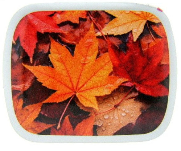 Herfstbladeren, blikje met pepermunt, 14 gram