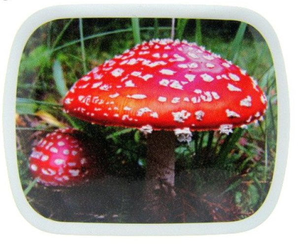 Paddenstoel rood, blikje met pepermunt, 14 gram