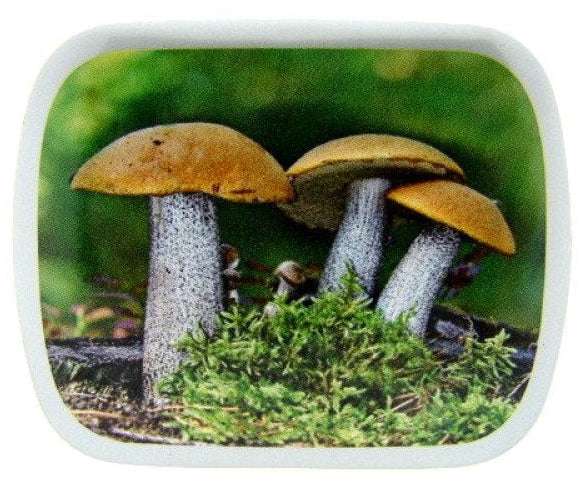 Paddenstoel, blikje met pepermunt, 14 gram