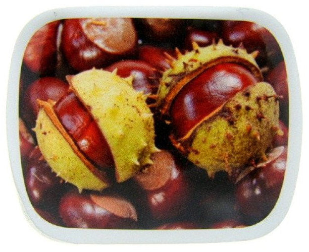 Kastanje, blikje met pepermunt, 14 gram