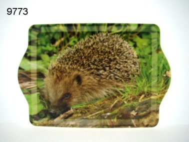 Egel dienblad 21 x 14,5 cm