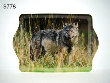 Wolf dienblad, klein