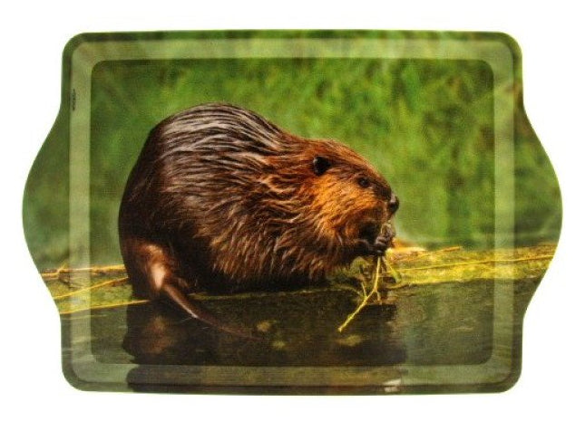Bever dienblad, 21 x 14,5 cm