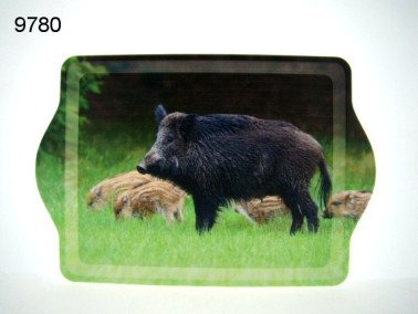 Wild zwijn dienblad, klein