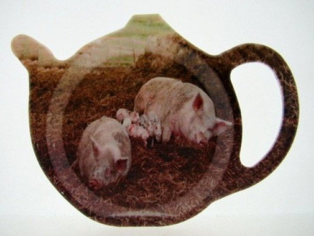 Varkens theetip, 13 x 10 cm