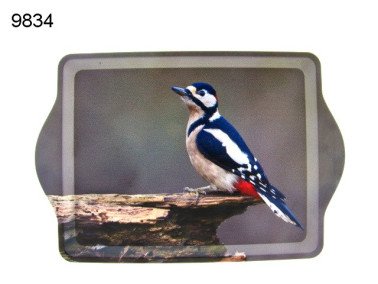 Specht dienblad, klein