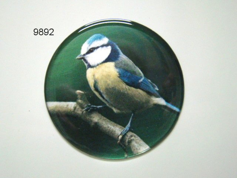 Pimpelmees magneet rond