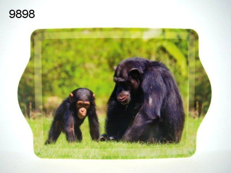 Chimpansee met baby dienblad, 21 x 14,5 cm
